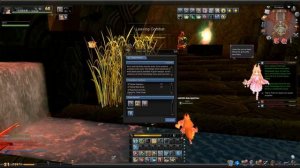 Aura Kingdom inst raid walkthrough №9 Ghostweep Cave