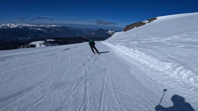 НашаРозаКравцовСергей