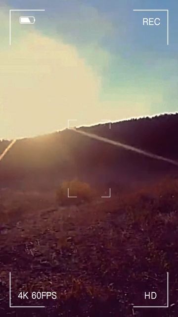 На самом деле я ничего н понял