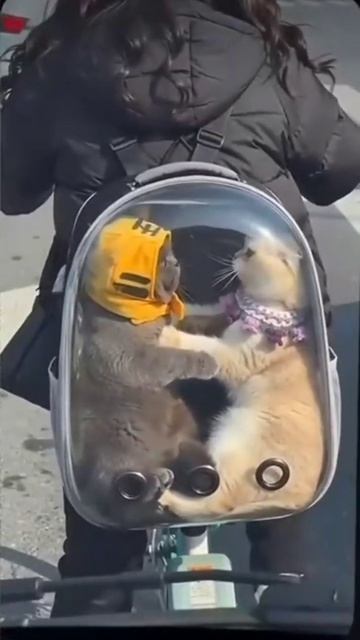 Не мешайте нам😃😃😃