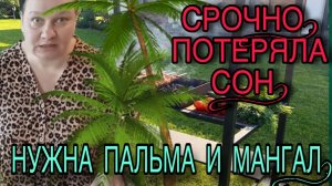 СРОЧНО! НУЖНА ПАЛЬМА И МАНГАЛ. ОЛЬГА ИЗ ЗАУРАЛЬЯ. ОБЗОР.