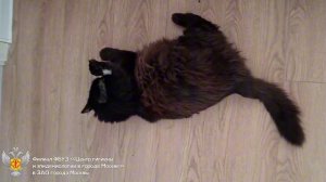 Правила мытья рук для детей