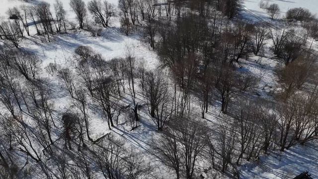 Тимонино 1063