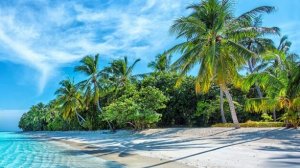 Слушать музыку. Музыка онлайн