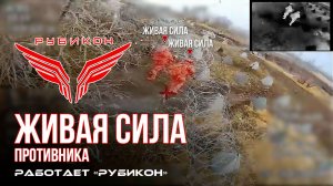 Живая сила противника. ВСУ теряет пехоту под ударами Центра «Рубикон»