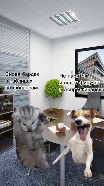 Наведите порядок в финансах бизнеса! Регистрация по ссылке в описании #shorts