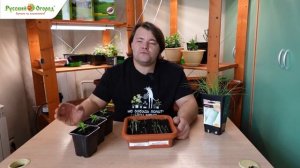 Основные проблемы при выращивании рассады.