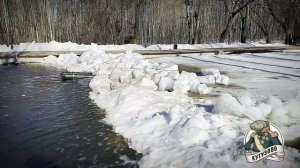 Обстановка на лесном пруду 23.03