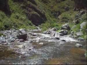 Горы Тарбагатай 2013г