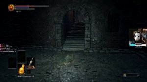 В мире  Темных Душ 3: знакомство с мимиком