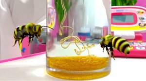 Настя и семья проводят эксперименты 🔬✨ Простые опыты