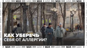 Сезон аллергии начался - Москва 24