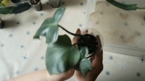 Первые излишки. Открываем сезон. 23.03.2026г.