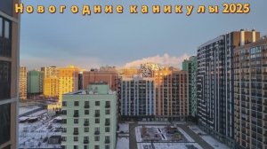 Новогодние каникулы 1 серия