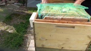 Что там с моими пчелами,раcширяю.