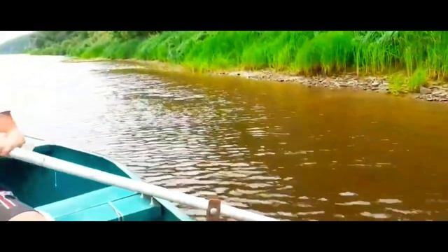 в лесу ЧАСТЬ 24 смотреть онлайн