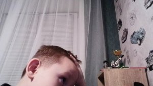 играю на компьютере в мелон сандбокс