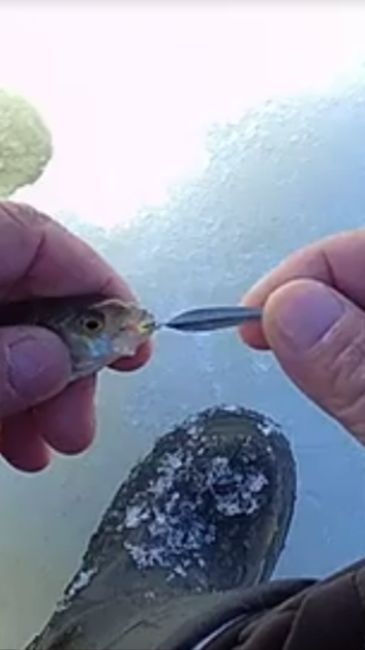 Зимняя блесна на окуня Лиска 27 мм