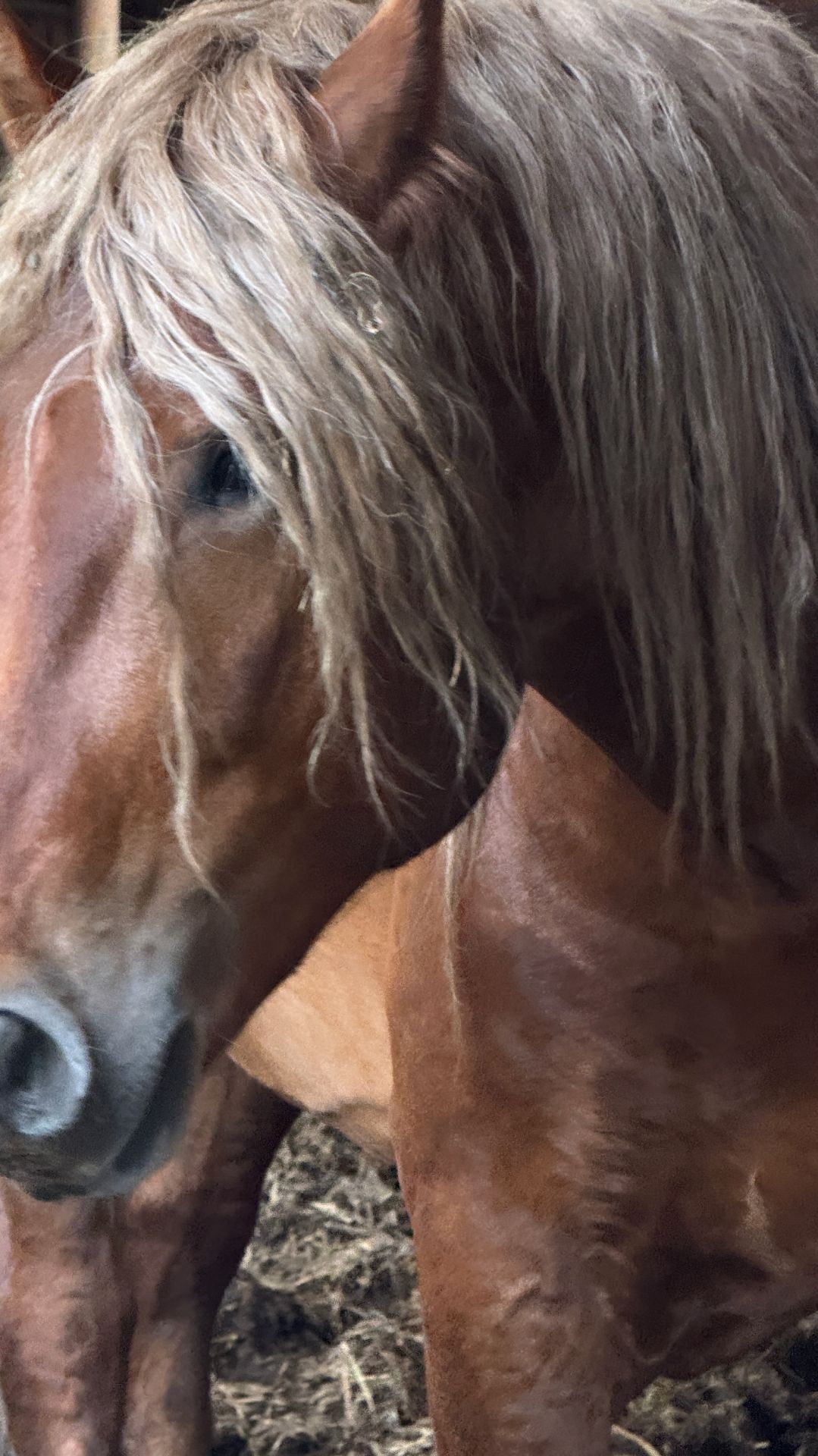 Друзья, что живут рядом. Романтики с большой дороги))