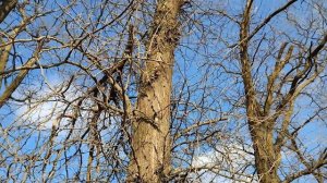 23.03.2026 Жуть жуткая