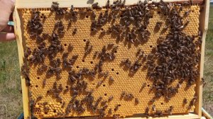 Матрица для литья вощины ( с охлаждением) часть 2