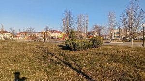 Прогулка по парку Солнечный, Таловая. обзор насаждений. 23-03-2026