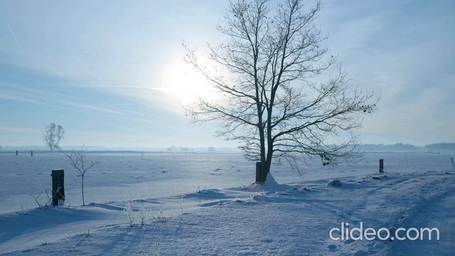 Небо. (Авва!).