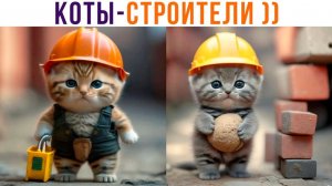 КОТЫ-СТРОИТЕЛИ))) Приколы с котами