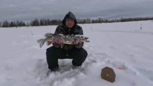 20 марта, "Колхозная яма". Второй день.