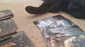 ‼️Крестовый ♣️зачем пришёл,  что он хочет‼️🤔