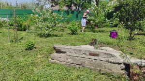 Дела весенние, 7 и 17 мая 2021 года.