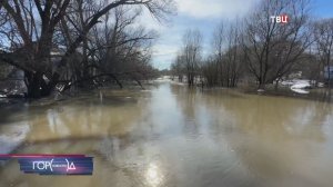 В Подмосковье реки начали выходить из берегов: когда ждать пик половодья