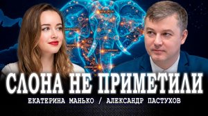 Пробуждение гиганта, или Какой будет стратегия сотрудничества России и Индии в эпоху перемен