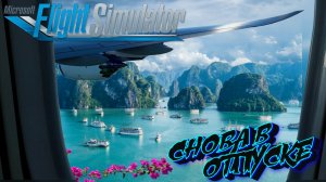 СОНИК СВАЛИЛ ОТДЫХАТЬ [MICROSOFT FLIGHT SIMULATOR]