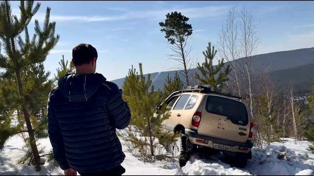 Ввд март 2026