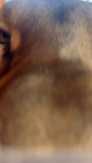 Как интересно ты пахнешь