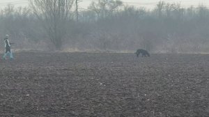 Шерхан след IGP3, 94б. Ростов-на-Дону, 22.03.26