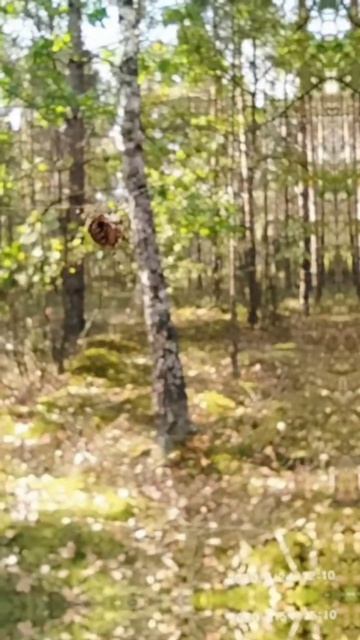 Архив 2020 г. (6)