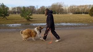 Вик, «плац» из движения с Машей, март 26