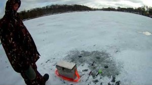 ловля окуня зимой подводная съемка