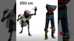 Эдит Хаги ваги.