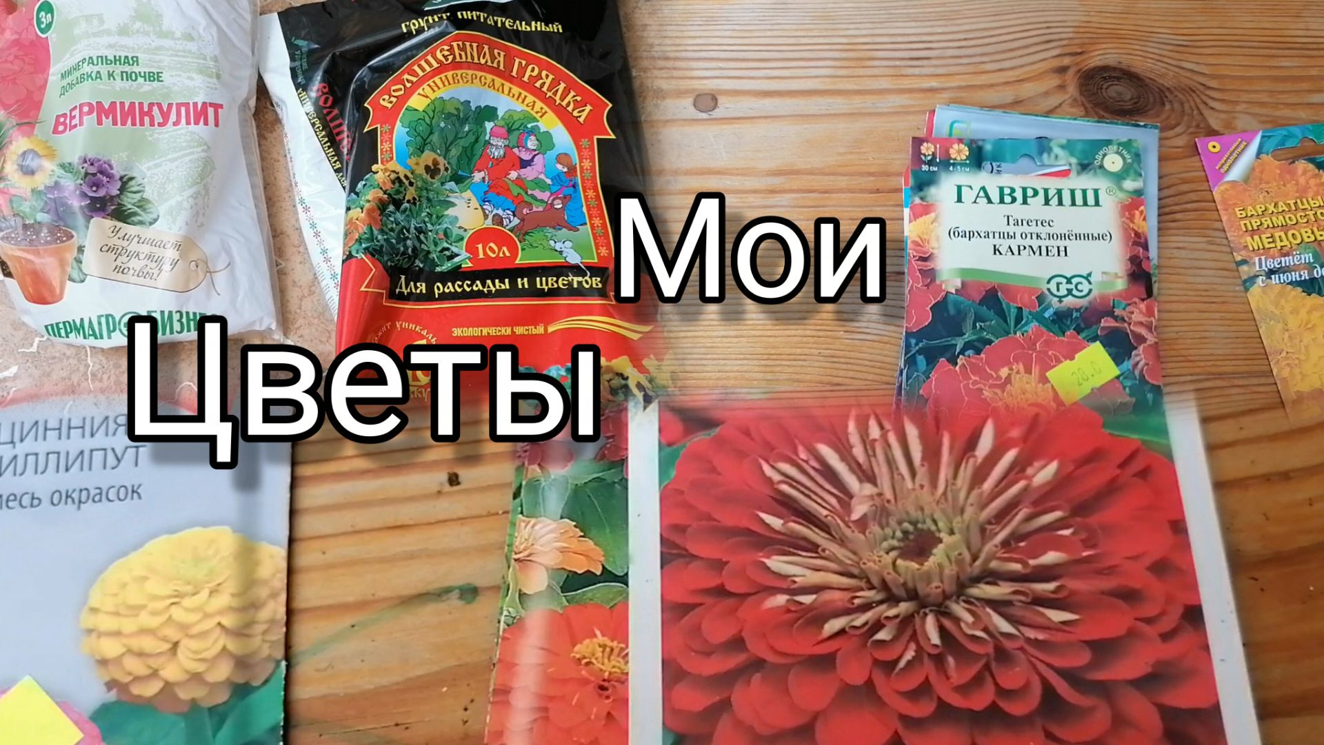 Начало положено #дача #цветы #дачныецветы #дачаснуля #осваениеземли #освоениеучастка #участокснуля