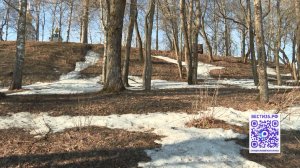 Синоптики рассказали о погоде в Вологодской области