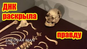 Генетические исследования показали, что предки британцев были темнокожими, но история была утрачена