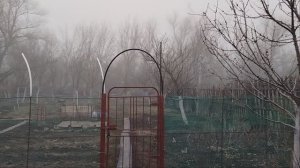 19 Марта. Уезжаем на госпитализацию.