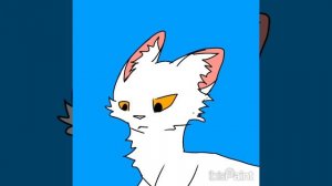 для мапа Синехвоста