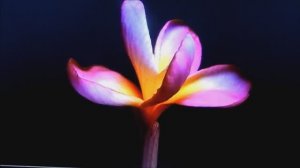 МУЗЫКА, ДАРУЮЩАЯ ГЛУБОКОЕ РАССЛАБЛЕНИЕ