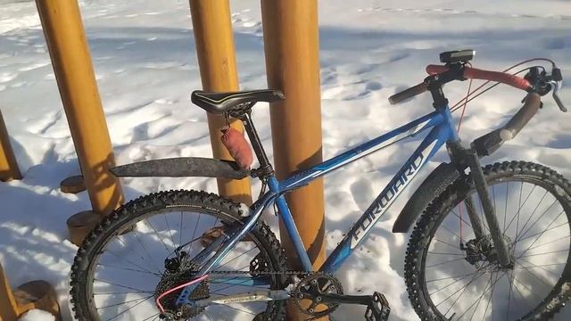 Обзор на форворд спортинг