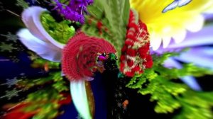 Футажи! Футаж Букеты роз К 3 от Киностудии Мудрого Кота Тимофея!!!