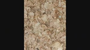 Блины фаршированные с печенью и луком